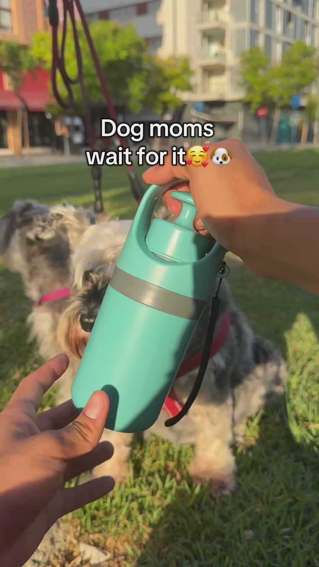 Lumiva™  Scooper video